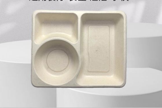 scatola di pranzo eliminabile 3Grid, scatola d'imballaggio biodegradabile asportabile
