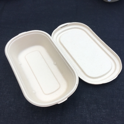 Scatola di pranzo eliminabile dell'insalata biodegradabile della canna da zucchero di 100% con il coperchio trasparente