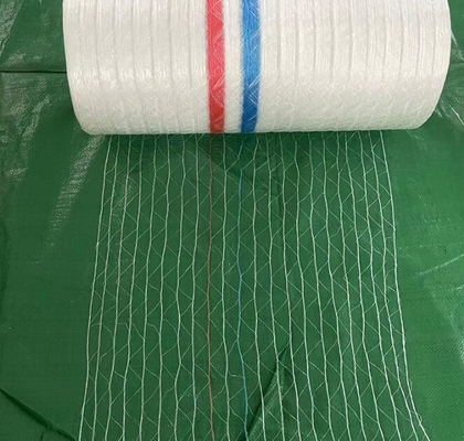 PE Plastico agricolo rotondo Balla di mais Rete di insilazione Rete di mangimi Rete di foraggio Rete di paglia Rete di balenatura Speciale
