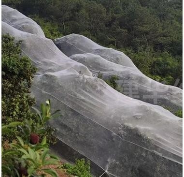 Rete anti-uccelli in plastica PE ingrandita spessita in serra rete di allevamento agricola rete anti-insetto in vigneto
