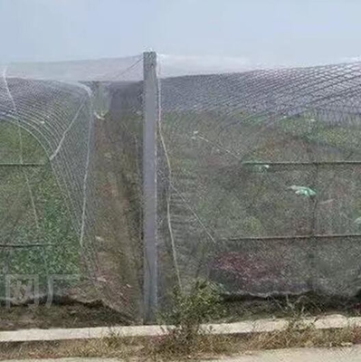 Rete anti-uccelli in plastica PE ingrandita spessita in serra rete di allevamento agricola rete anti-insetto in vigneto
