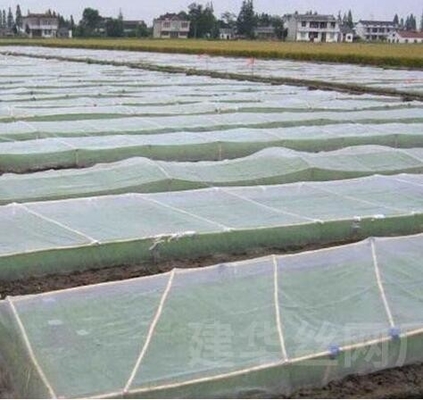 Rete anti-uccelli in plastica PE ingrandita spessita in serra rete di allevamento agricola rete anti-insetto in vigneto