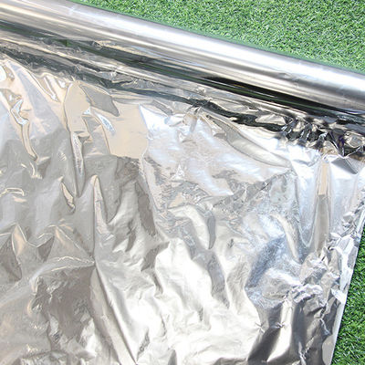 12mic pet un lato Corona e l'altro lato rivestimento chimico di base per la stampa di resistenza