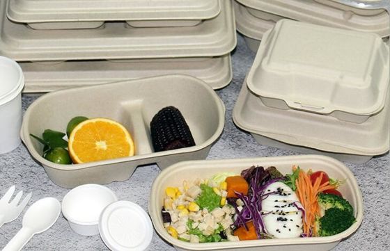 grano eliminabile Straw Paddle Degradable Lunch Box di singola e doppia griglia di 1000ml