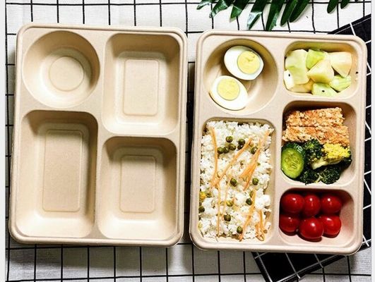Griglia quattro che imballa la scatola di pranzo eliminabile, scatola di pranzo asportabile biodegradabile