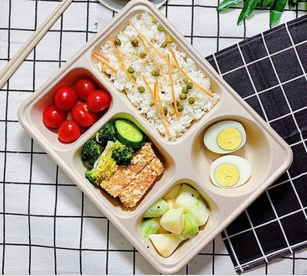 Scatola di pranzo eliminabile di 5 griglie con il coperchio, grano Straw Biodegradable Lunch Box