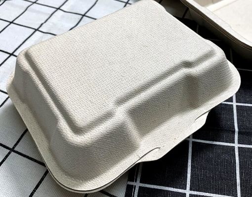Polpa unita della canna da zucchero che imballa la scatola di pranzo eliminabile biodegradabile