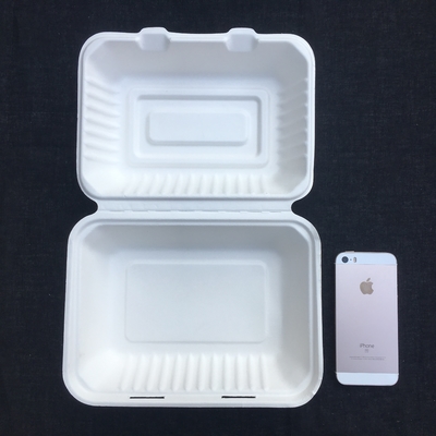 Rettangolo 600ml biodegradabile Bento Lunch Box Sugarcane Pulp eliminabile