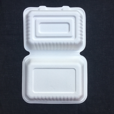Rettangolo 600ml biodegradabile Bento Lunch Box Sugarcane Pulp eliminabile