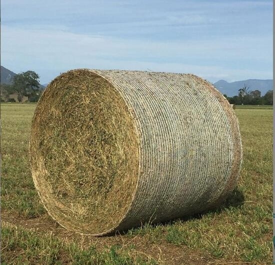 PE Plastico agricolo rotondo Balla di mais Rete di insilazione Rete di mangimi Rete di foraggio Rete di paglia Rete di balenatura Speciale